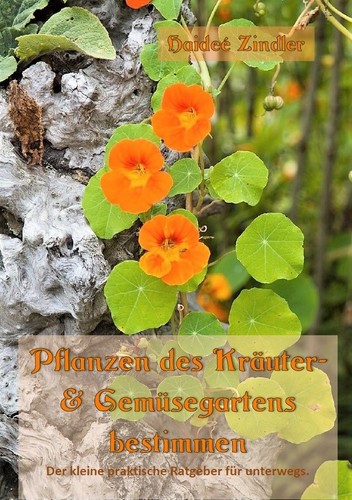 Pflanzen des kräuter und - pflanzen,