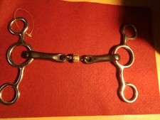 ISLÄNDER ODER PONY GEBISS