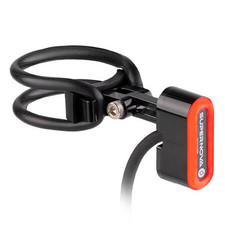 Supernova Dynamo-Rücklicht