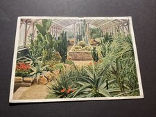 AK Stuttgart Bad Cannstatt Wilhelma Kakteenhaus