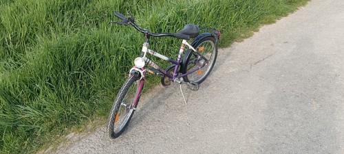 Pegasus zoll kinderfahrrad - pegasus, 20