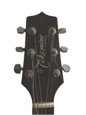 Takamine Westerngitarre