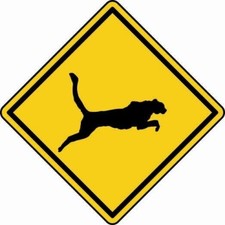 Aufkleber Vorsicht Jaguar