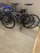 Trek 560 Pro Series Fixie