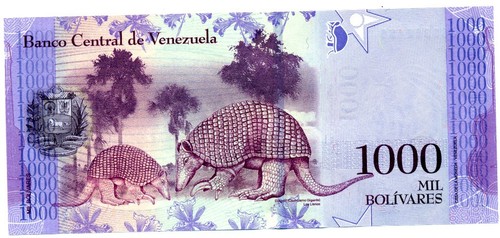 000er bolivar banknote - bolivar,