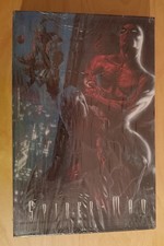 Spider-Man - Das fehlende Jahr