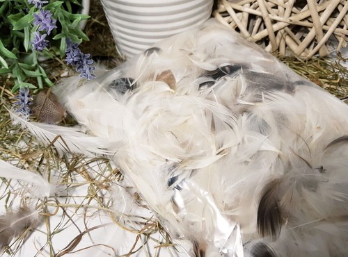 3xfedern paket natur weiß - 3xfedern,