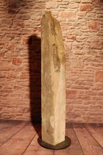 Eichenbalken 200 jahre - eichenbalken,