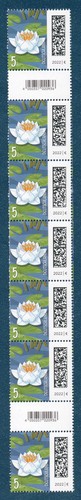Wdb mi3644 blassgelbe - wdb, mi3644,