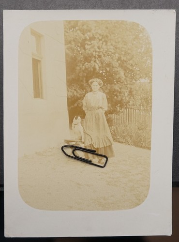Foto portrait junge hausfrau - portrait,