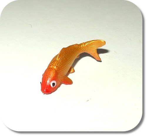 Miniatur fisch klein neu - miniatur, fisch,