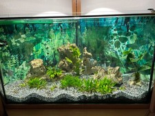 Aquarium Komplett mit Filter Eheim Professional 3, Bodenheizung und Co2-Anlage