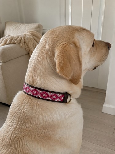 Hunde halsband pink - halsband,