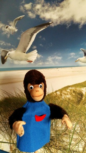 Handpuppe affe vermutlich - handpuppe,