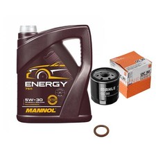 Inspektionspaket 5L Energy