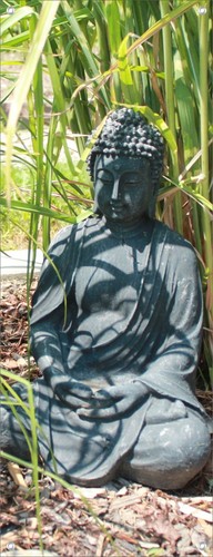 Buddha wandbilder poster - buddha,
