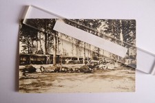 Tote Pferde nach Lager Angriff - 1.WK / AK 84