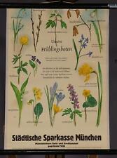 Schulwandkarte Rollbild Botanik Frühlingsboten Blumen Lehrtafel Vintage Poster