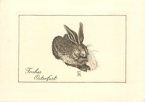 Feldhase albrecht - -,