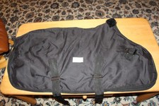 Shettland Pony Decke,  bis