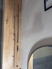 Zebco Rhino Spirit Rute 310cm