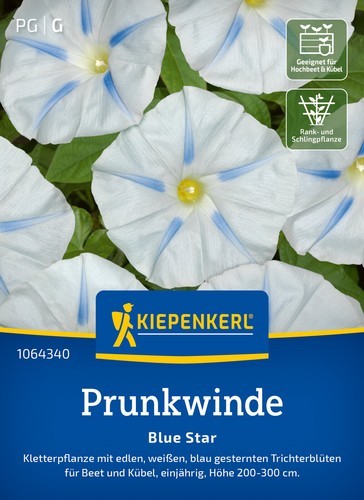 Prunkwinde blue star mhd - prunkwinde, *