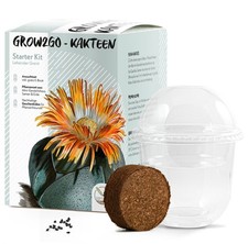 GROW2GO - Pflanzset aus Gewächshaus, Erde & Lebender Granit Samen