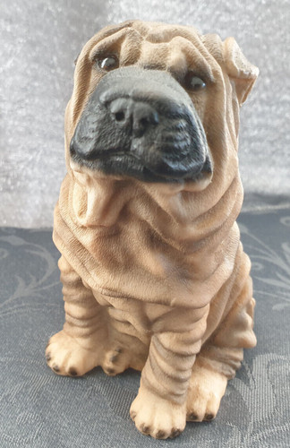 Hund shar pei castagna - shar,