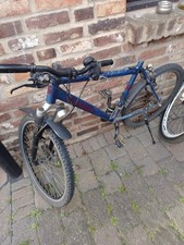 An Bastetller
