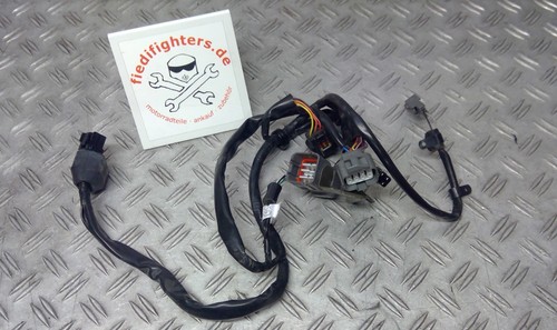 Kabelbaum hauptscheinwerfer - kabelbaum,