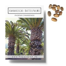 Kanarische Dattelpalme Samen (Phoenix canariensis) - Exot. Palme für zu Hause