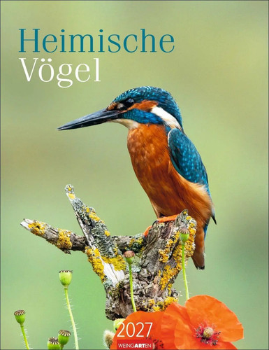 Heimische vögel kalender 2027 - heimische,
