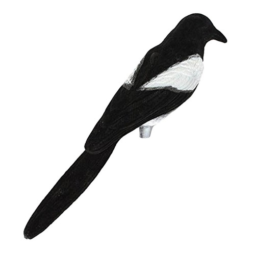 Elster lockvogel für - für, fallen