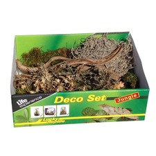 Lucky Reptile Terrarium