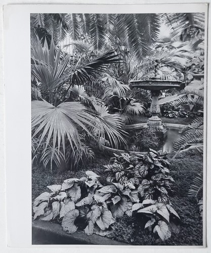 Vintage fotografie erich - vintage,