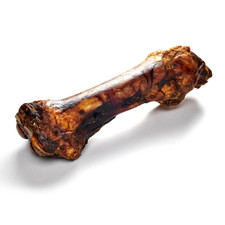 Pferde-Unterbein –