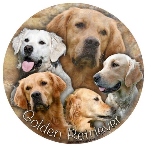 Golden retriever autoaufkleber - retriever,
