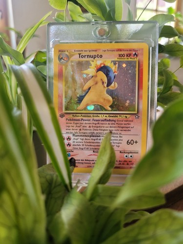 Pokémon karte tornupto 1st - tornupto,