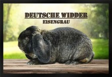 Fußmatte Schmutzfangmatte Kaninchen Deutscher Widder eisengrau F878