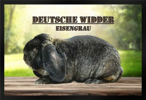 Fußmatte schmutzfangmatte - fußmatte,