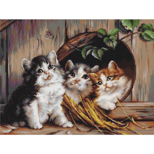Luca kreuzstichset - luca-s,