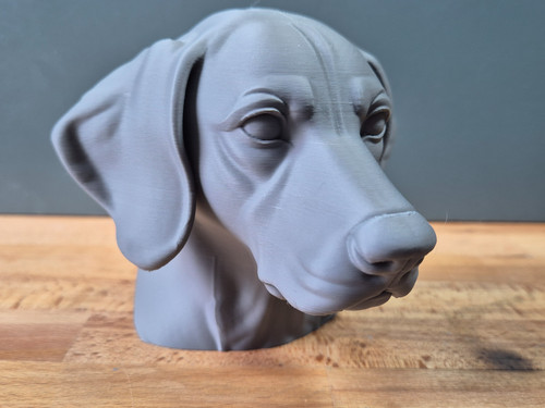 Deutsch kurzhaar vorstehhund - deutsch,