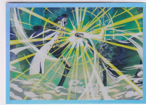 Panini one piece 25th - panini,