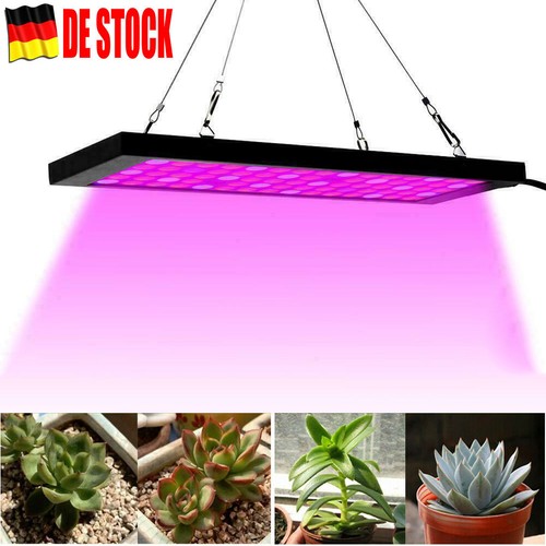 Profi 40w led grow - 40w,