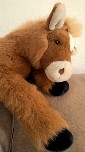 Riesiges megasüßes steiff - riesiges,