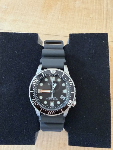 Citizen promaster eco drive - promaster,