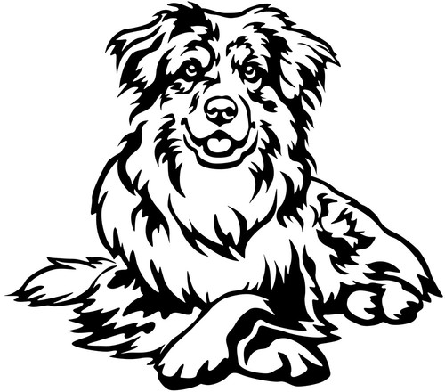 Australian shepherd aufkleber - australian,