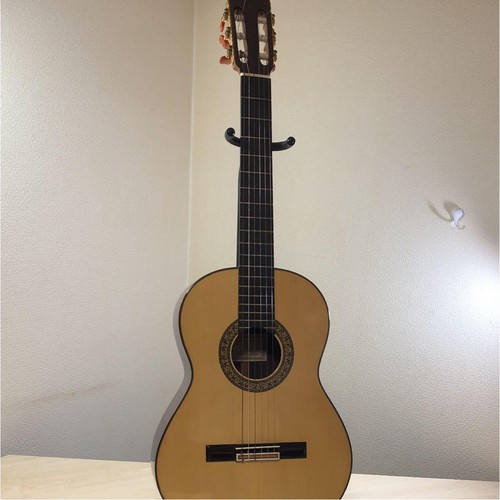 Flamenco gitarre ricardo - flamenco,