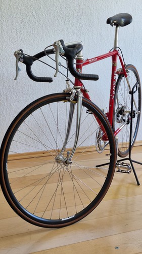 Rosa professional nos - rosa,