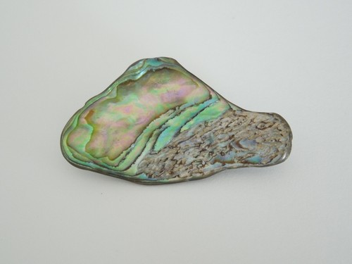 Brosche seeopal perlmutt - seeopal,